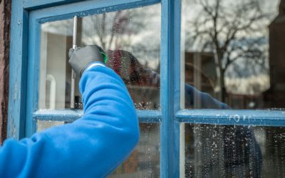 Keeping your windows sparkly clean
